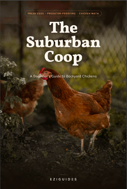 The Suburban Coop: A Beginner's Guide to Backyard Chickens